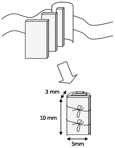 Fig. 3