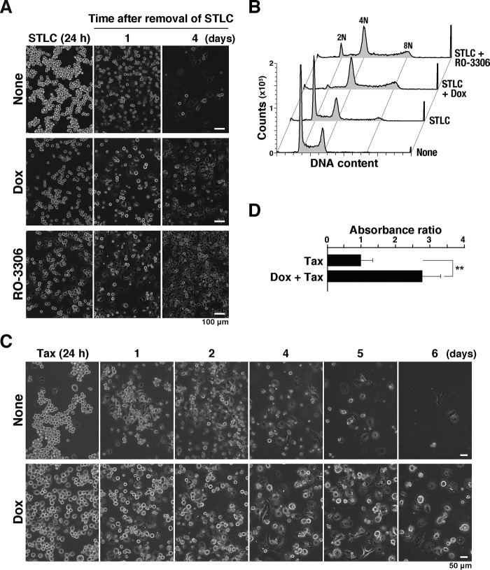 Figure 6.