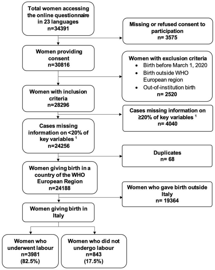 FIGURE 1