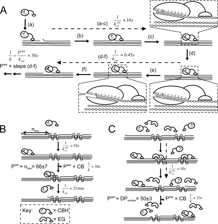 FIGURE 7.