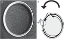 Fig. 2.
