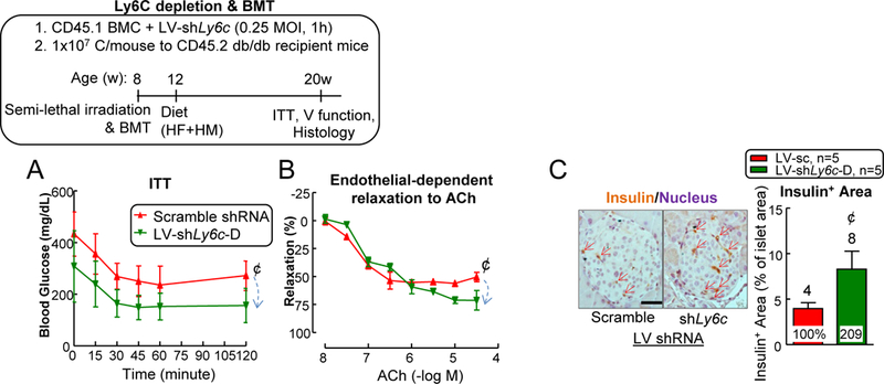 Figure 12.