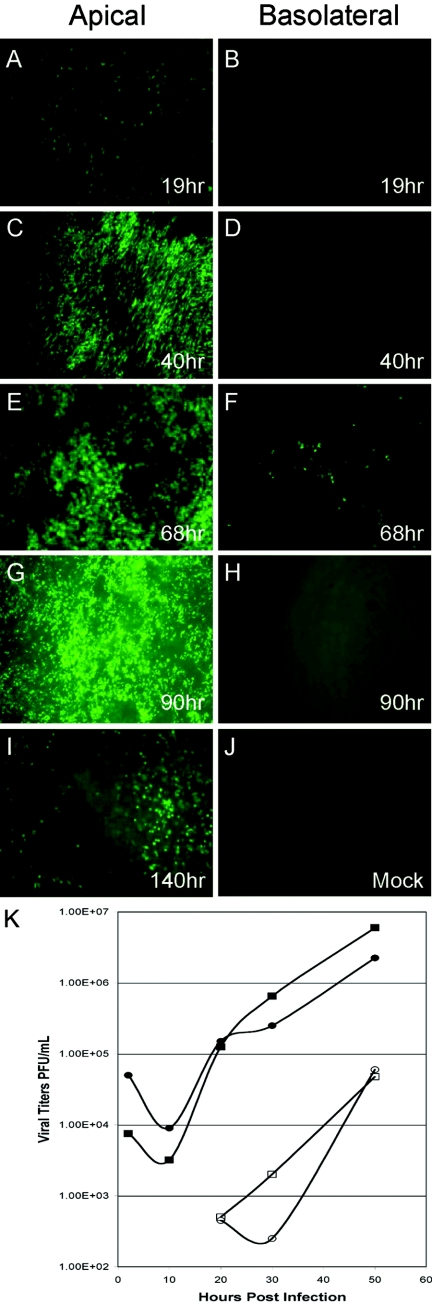 FIG.4.