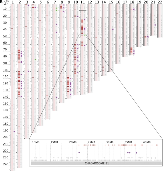 Figure 1.