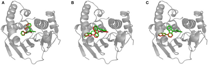 Figure 4