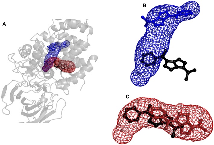 Figure 6