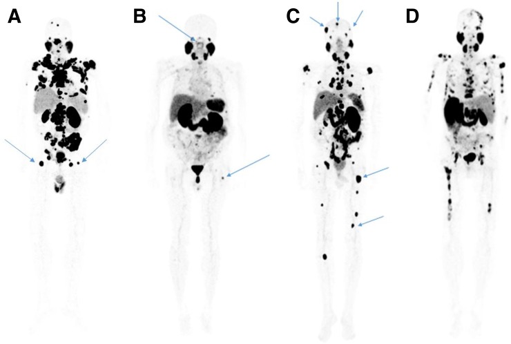 FIGURE 3.