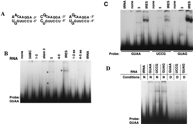 FIGURE 3.