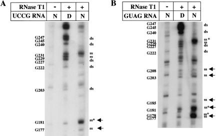 FIGURE 7.