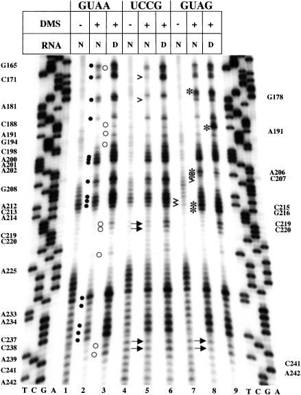 FIGURE 4.