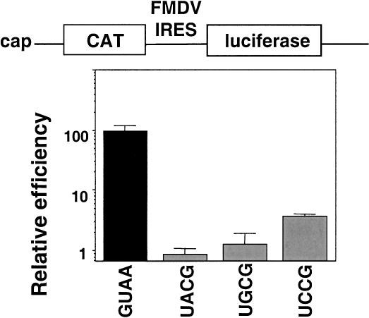 FIGURE 2.