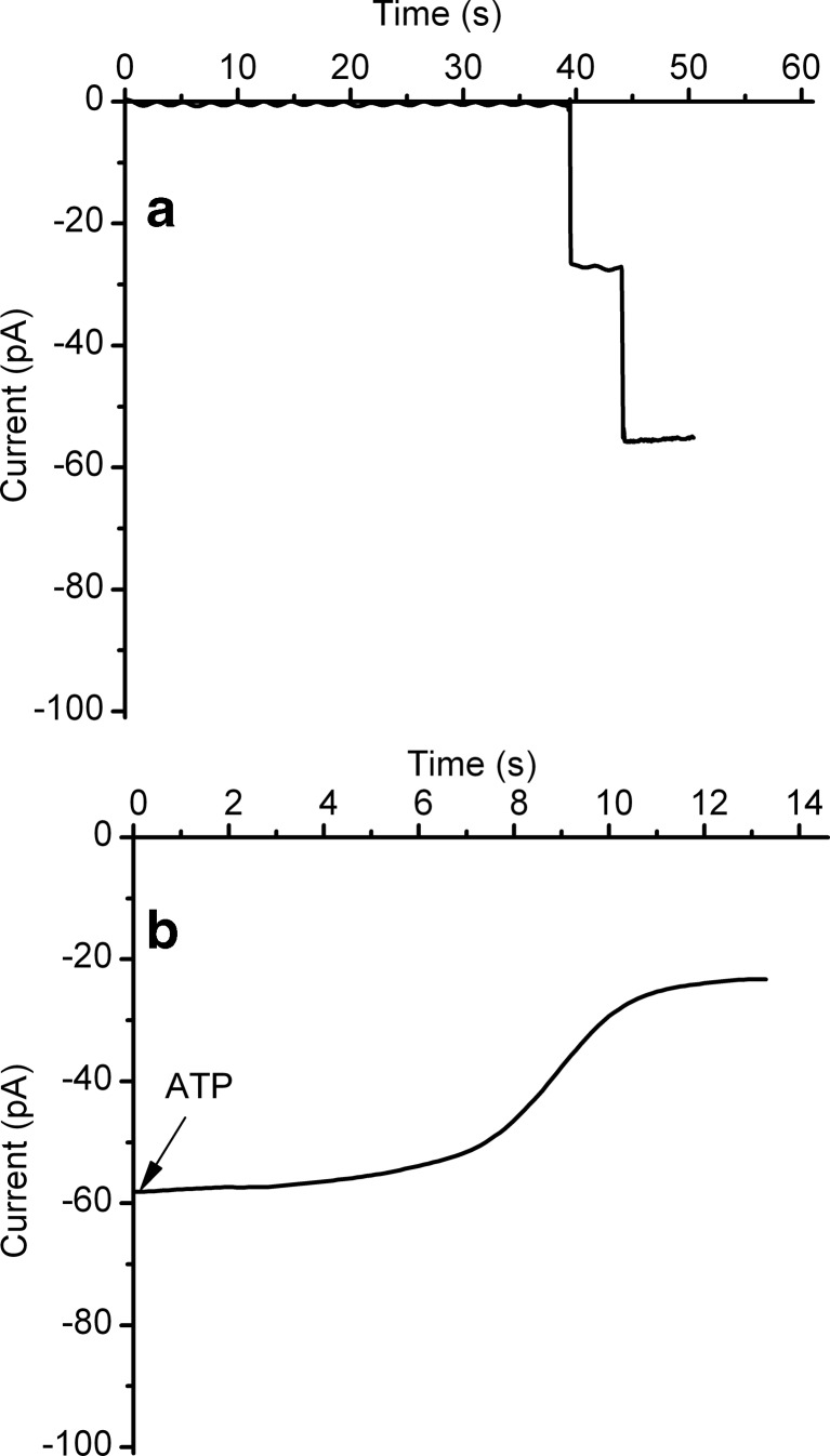 Fig. 3