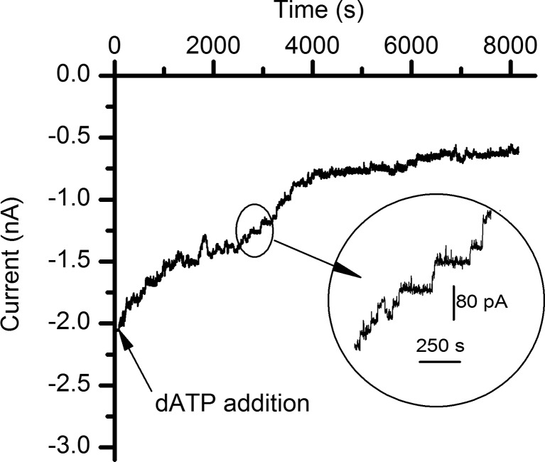 Fig. 7