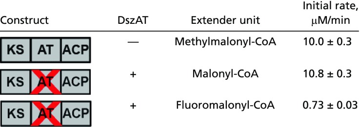 graphic file with name pnas.1614196114fx01.jpg