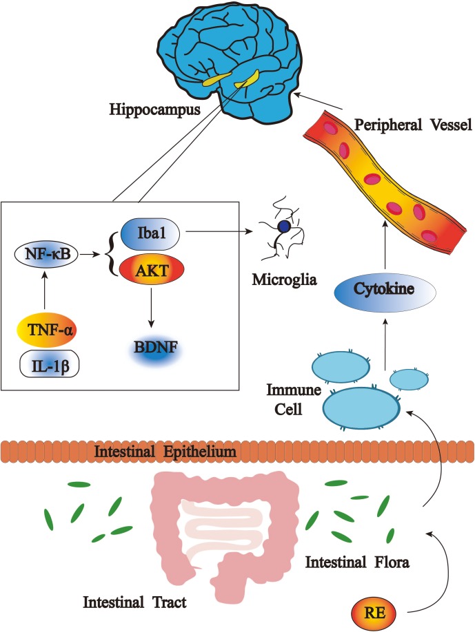 FIGURE 10