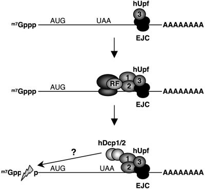 FIG. 7.