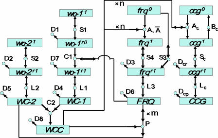 Fig. 1.