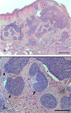 Fig. (4)