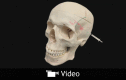 Video Graphic 3.
