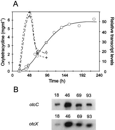 FIG. 6