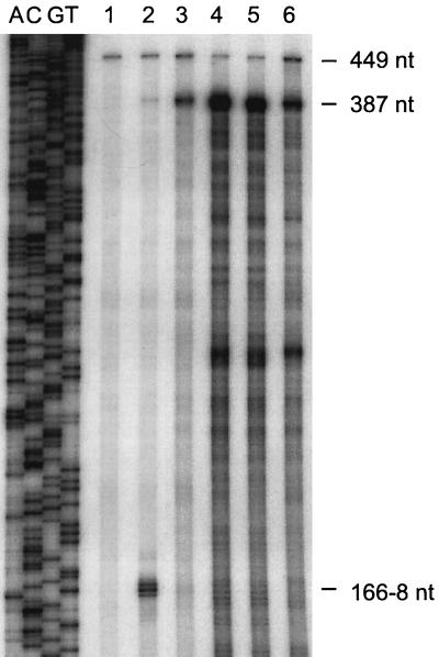 FIG. 8