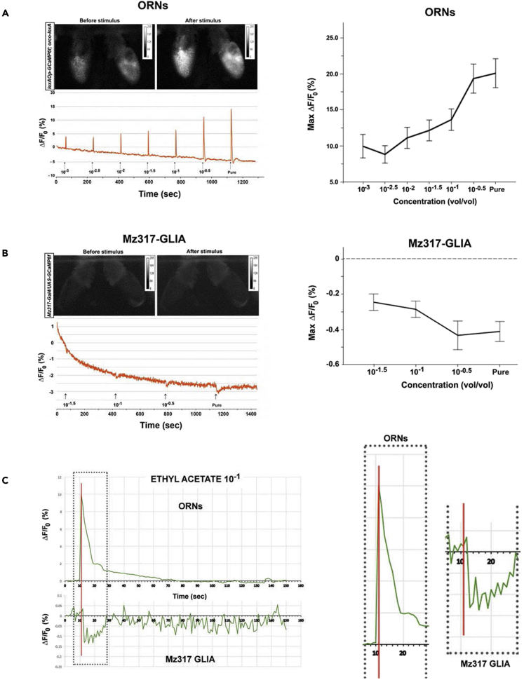 Figure 6