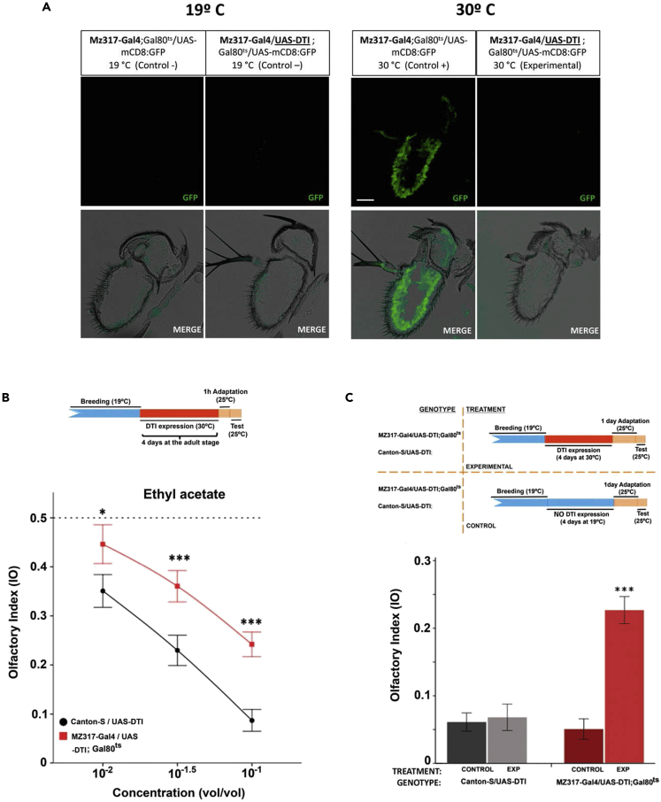 Figure 2