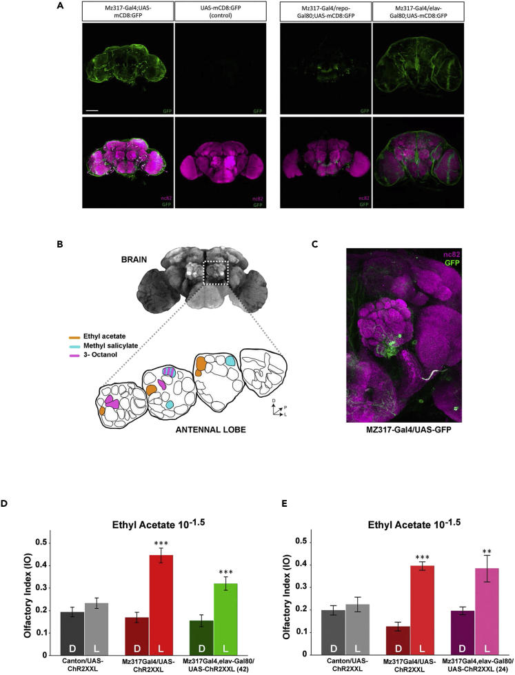 Figure 4