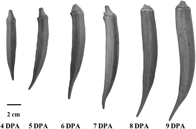 Fig. 1