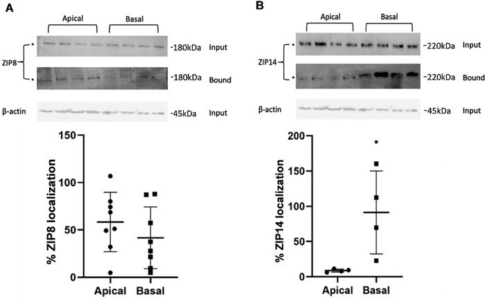 Figure 7.