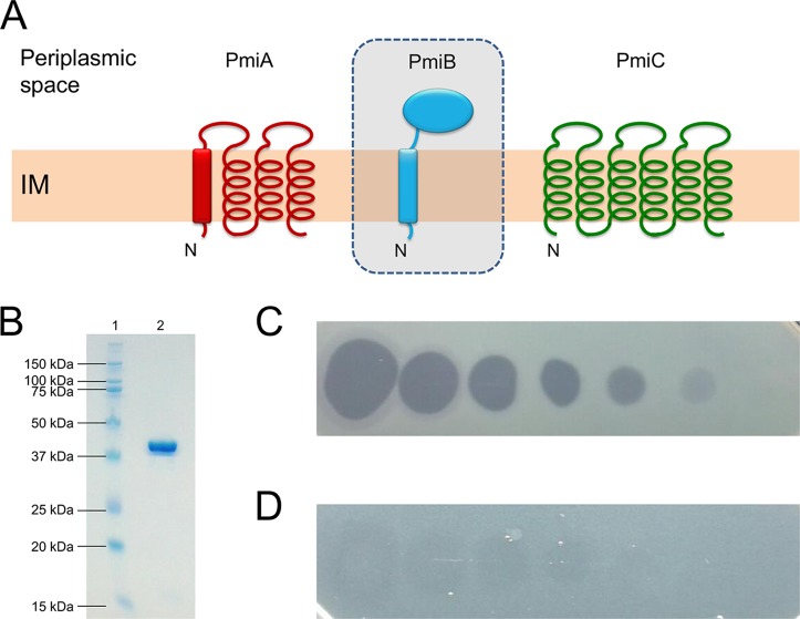 FIG 3