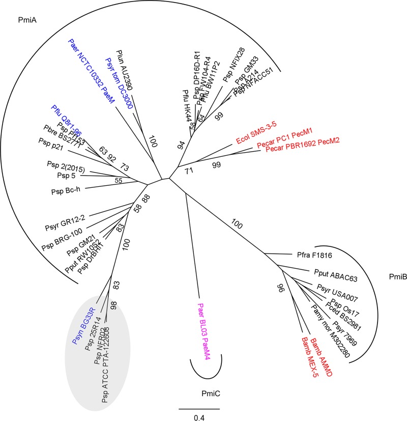 FIG 1