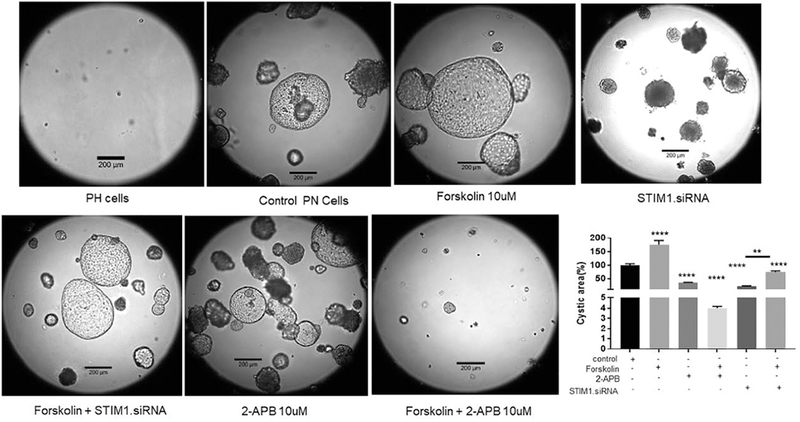 Figure 3: