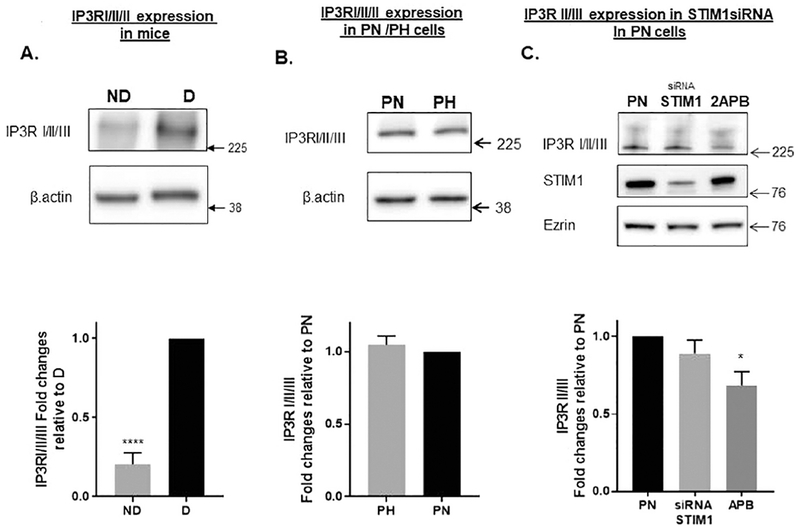 Figure 2: