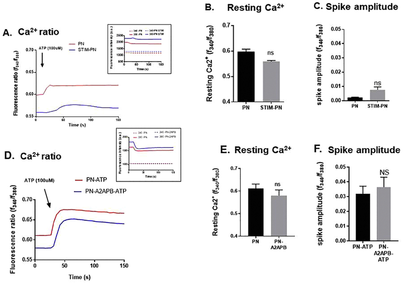 Figure 5: