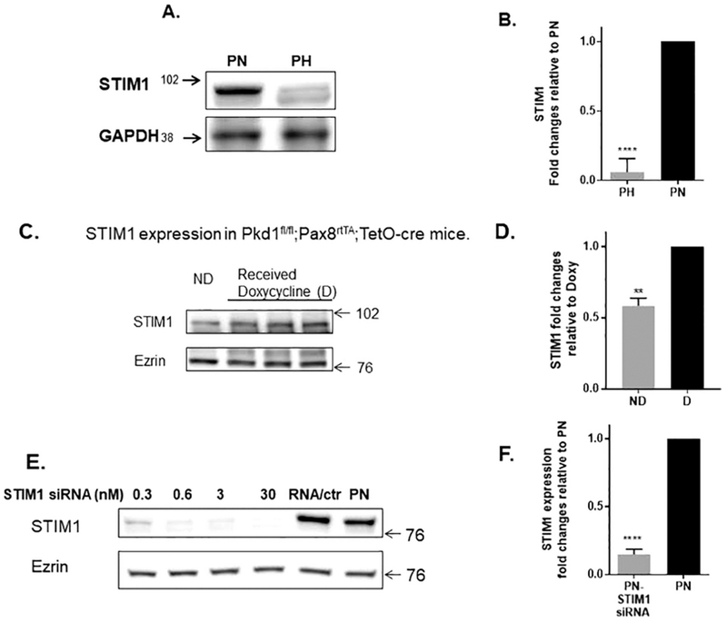 Figure 1: