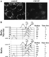 FIG. 4