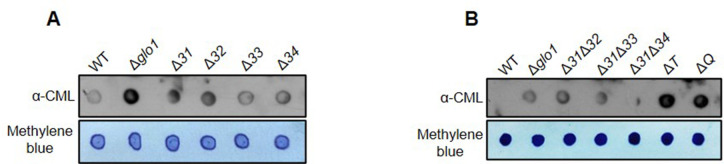 Figure 2—figure supplement 1.