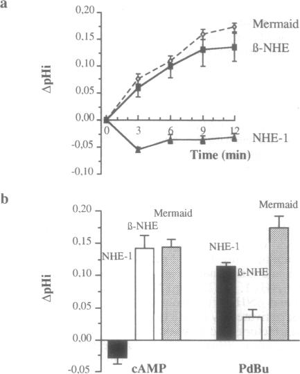 graphic file with name pnas01134-0223-a.jpg