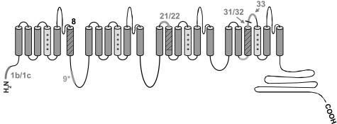 Fig. 1.