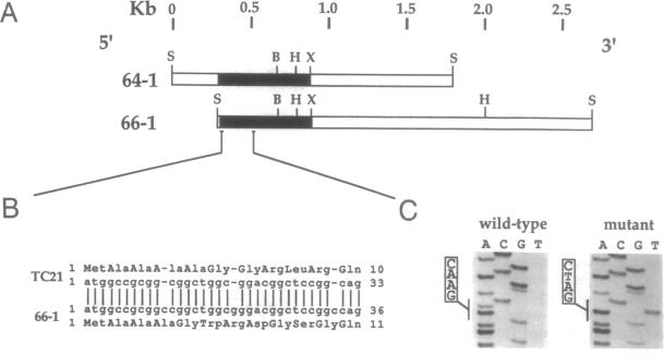 graphic file with name pnas01138-0189-a.jpg