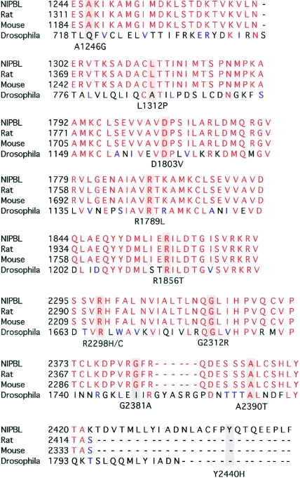 Figure  2