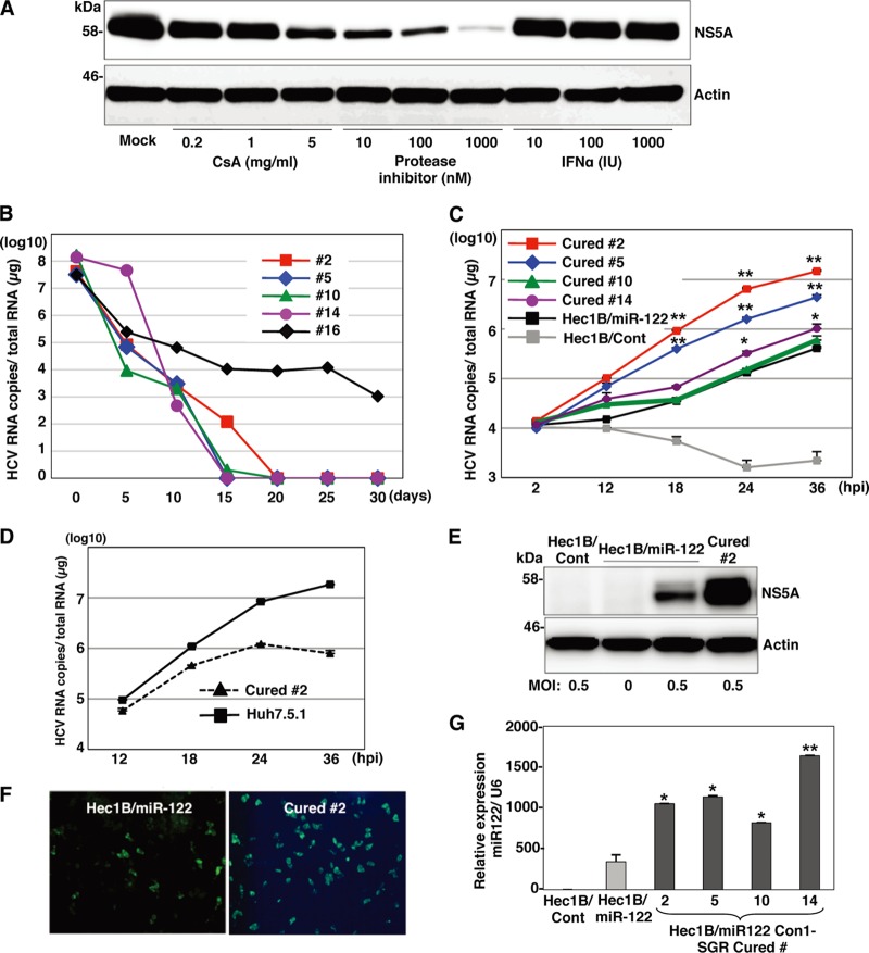 Fig 13