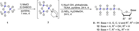 Scheme 4