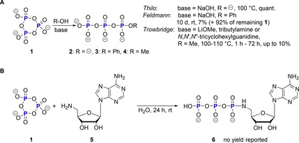 Scheme 3