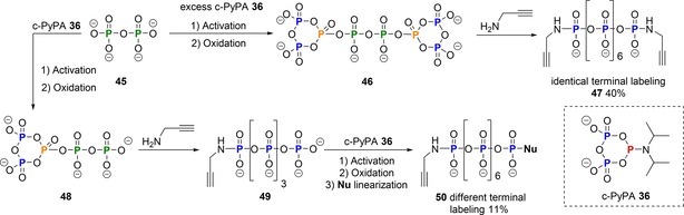 Scheme 12