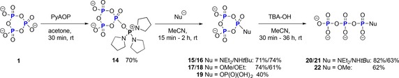 Scheme 5