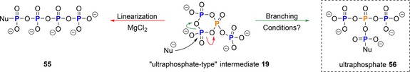 Scheme 14