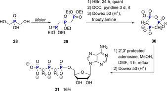 Scheme 7