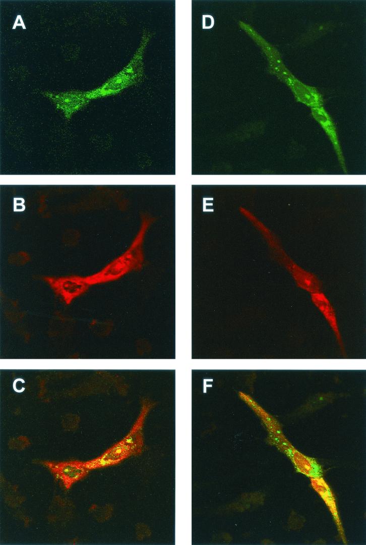 FIG. 7.